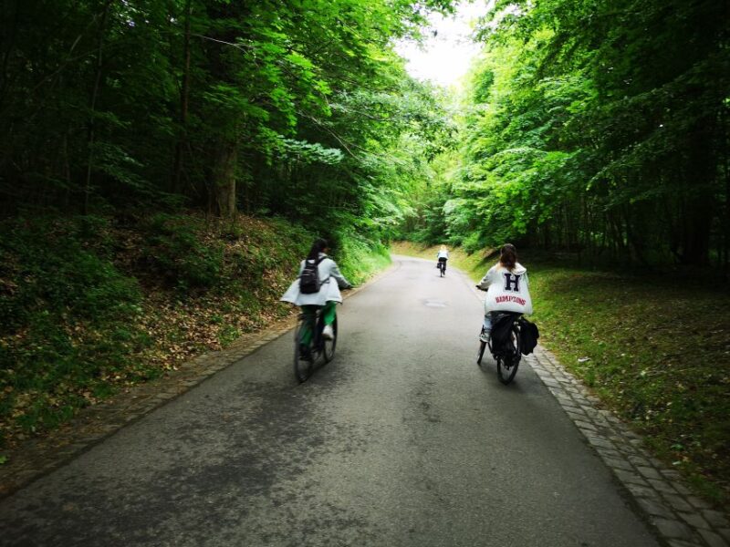 Paris: Versailles Palace & Queen Hamlet E-Bike Tour - Inclusions and Exclusions