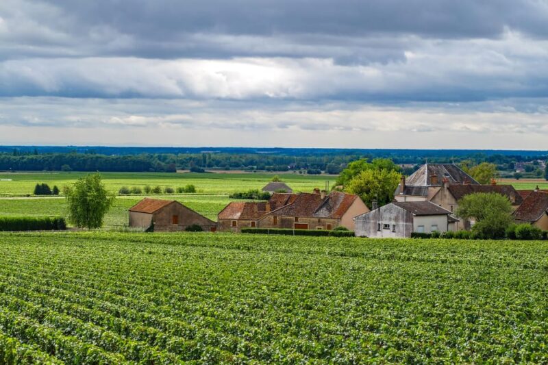 Paris VIP: Burgundy Wine Region Chauffeur Driven Tour 14 Hrs - Morning Excursion