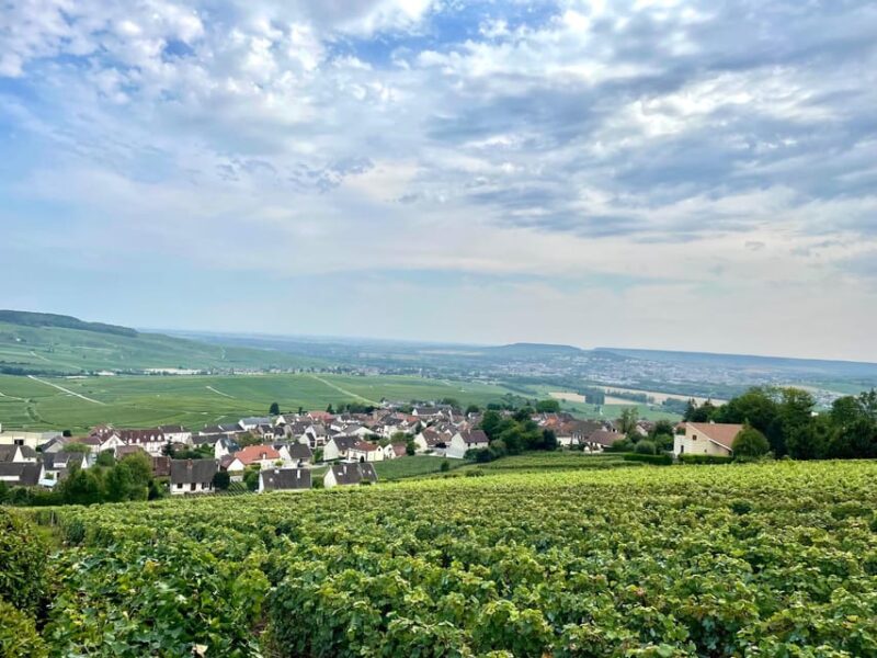 Paris Wine Day Tours All Inclusive Champagne Tour From Paris - Key Points