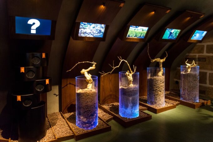 Paris: Wine Museum Guided Tour With Wine Tasting - Tour Inclusions and Exclusions