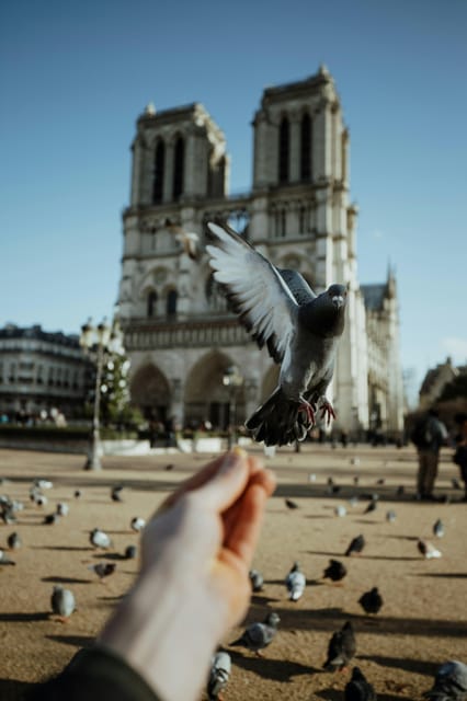 Parisian Promenade: Exclusive Private Walking Tour - Itinerary Highlights