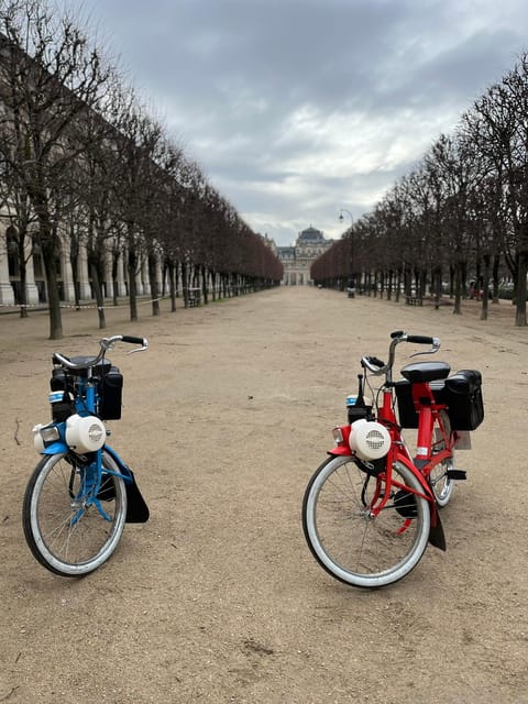 Pariss Left Bank (2h) : E-Solex Bike Guided Small Tour - Experience Highlights