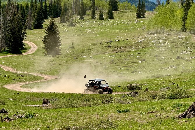 Park City ATV and UTV Rentals (4 Seater RZR) - Rental Details
