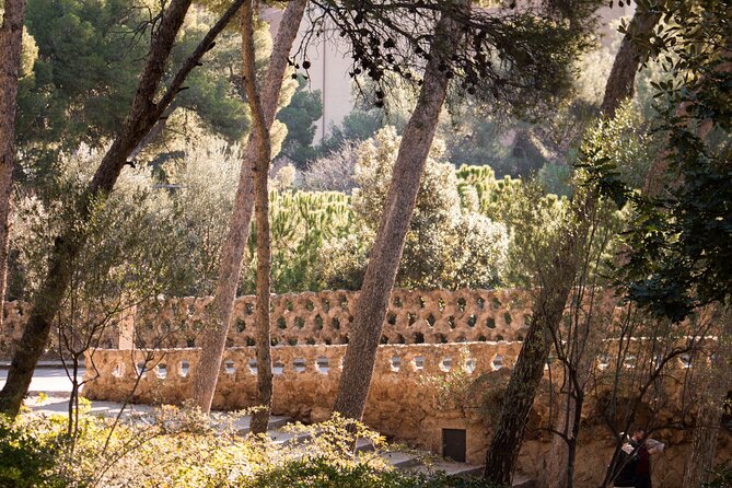 Park Guell Small Group Guided Tour With Skip the Line Ticket - Traveler Feedback: Positive