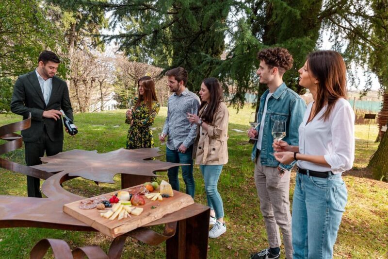 PARK OF THE FILANDETTA WINE & ART FARM: ART & NATURE TOUR - Highlights of the Experience