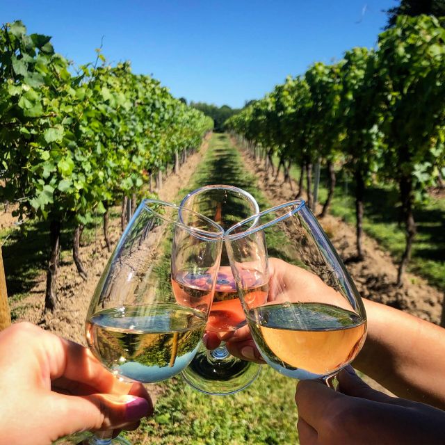 Parma: Cheese, Ham, & Wineyard Tour With Tastings - Key Points