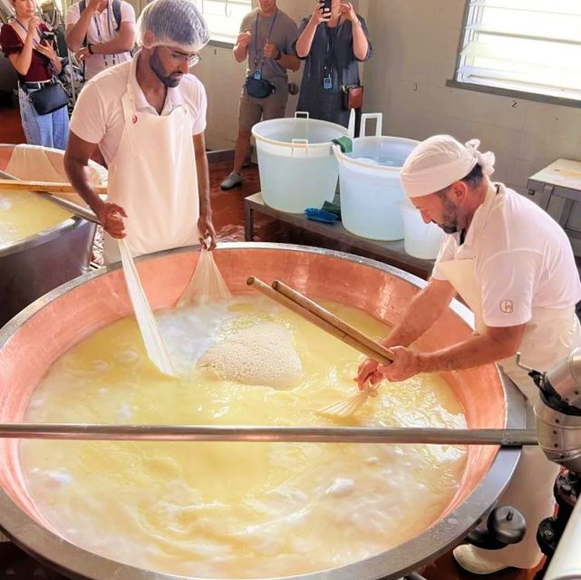 Parma: Cheese, Ham, & Wineyard Tour With Tastings - Parma Ham Production