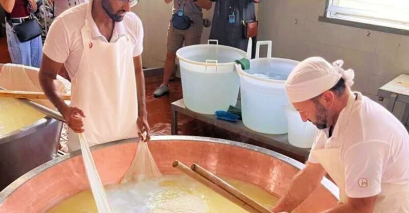 Parma: Traditional Cheese Factory Visit With Tasting - Pricing and Availability