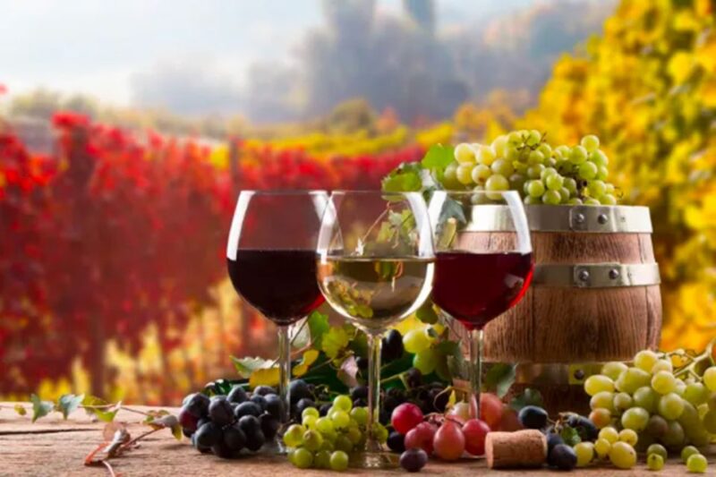Parma: Winery Tour and Tasting - Meeting Point and Important Information
