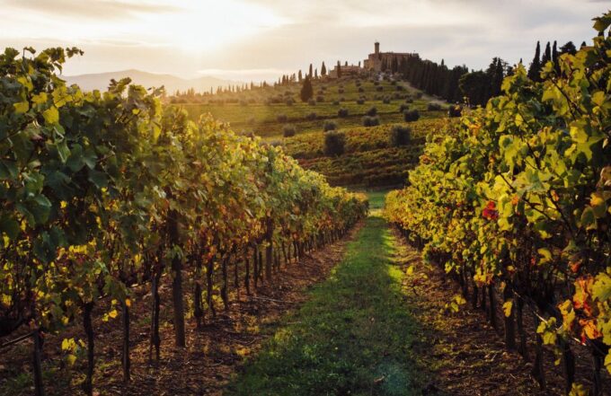 Parma: Winery Tour and Tasting - Beautiful Landscapes and Local Products