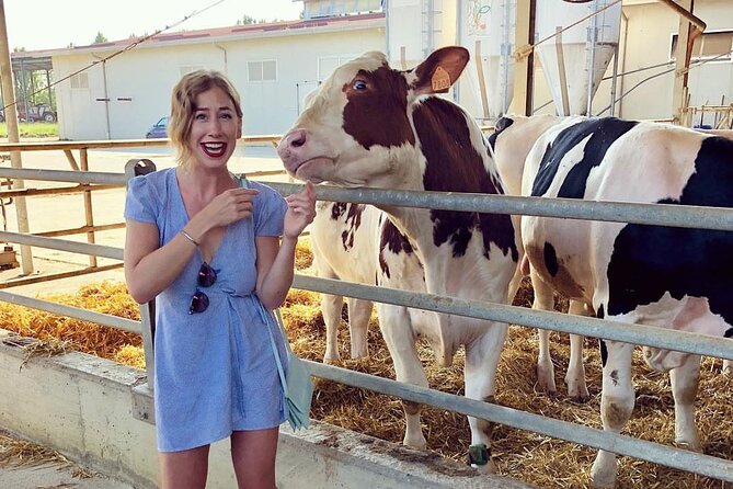 Parmesan Cheese and Real Balsamico Taste and Tour in Modena - Accessibility Information