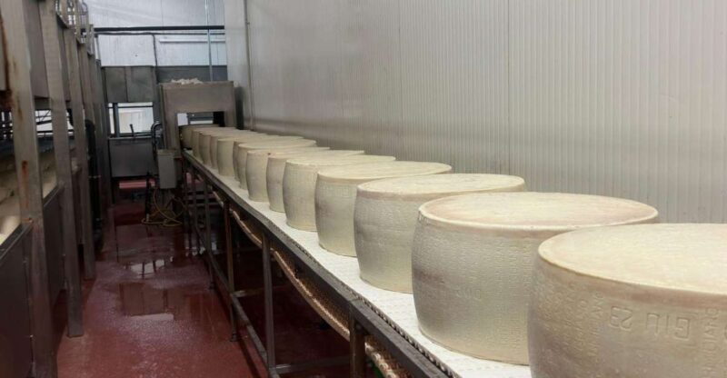 Parmesan, Wine, Balsamic Full Day Tour With Light Lunch - Highlights of the Tour