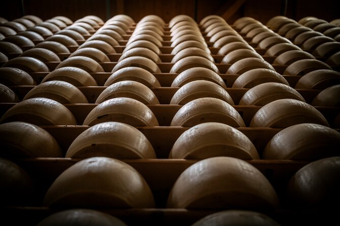 Parmigiano and Culatello Private Tour With Lunch and Farm Visit - Inclusions