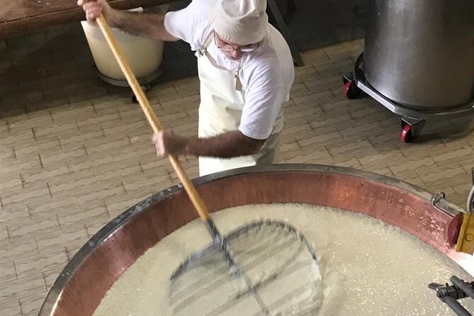 Parmigiano Cheese Factory Visit and Tasting - Tasting of Young and Aged Cheeses