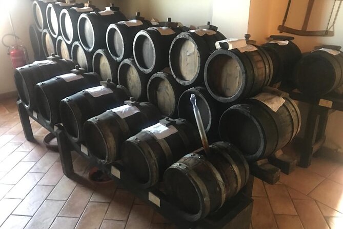 Parmigiano Cheese, Parma Ham and Balsamic Tour in Italy - Parma Ham Production