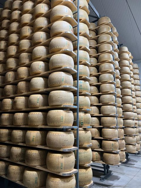 PARMIGIANO DOP DAIRY FARM VISIT AND TASTING NEAR BOLOGNA - Key Points