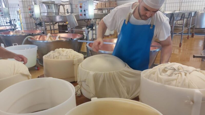 PARMIGIANO DOP DAIRY FARM VISIT AND TASTING NEAR BOLOGNA - Itinerary and Experience
