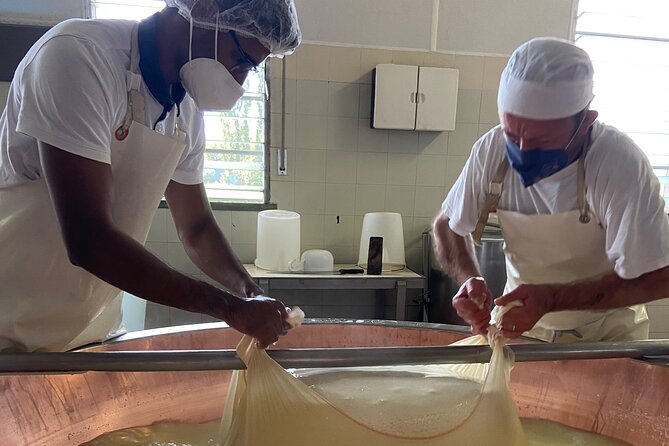 Parmigiano-Reggiano Cheese Factory Small Group Tour From Parma - Stages of Cheese Making