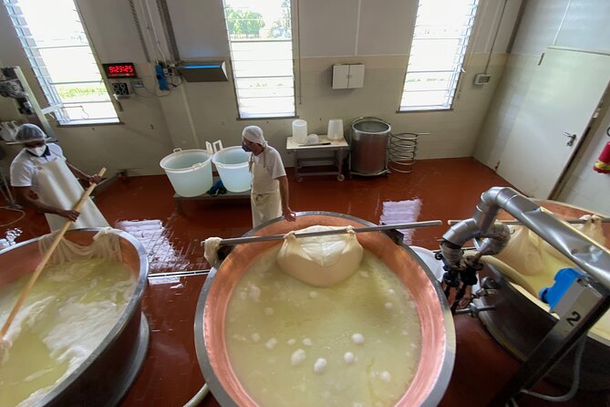 Parmigiano-Reggiano Cheese Factory Small Group Tour From Parma - Pickup, Drop-off, and Transportation