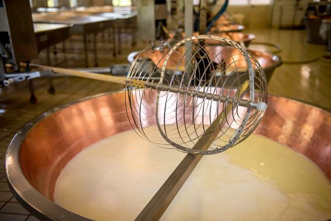 Parmigiano Reggiano Cheese Factory Tour & Tasting Experience - Guided Tour Details