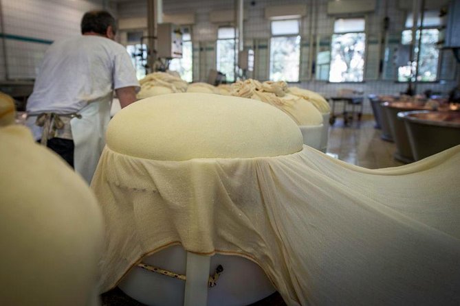 Parmigiano Reggiano Cheese Factory Tour & Tasting Experience - Visitor Testimonials