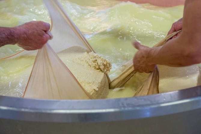 Parmigiano Reggiano Cheese Factory Tour & Tasting Experience - Start Time and Duration