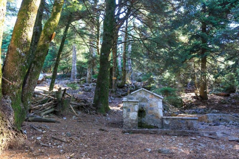 Parnitha (Parnis) / Skipiza & Mola Loop - Hike Near Athens - Itinerary Overview