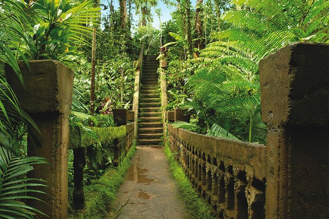 Paronella Park and Millaa Millaa Falls Full-Day Tour From Cairns - Additional Information