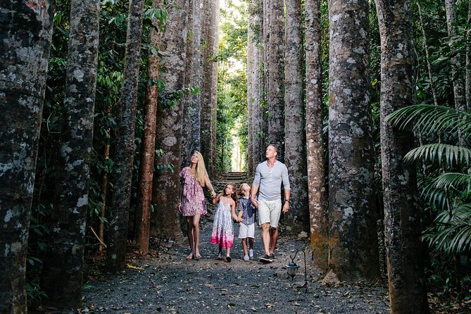 Paronella Park and Millaa Millaa Falls Full-Day Tour From Cairns - Exploring Wet Tropics Rainforest