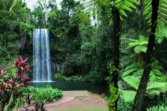 Paronella Park and Millaa Millaa Falls Full-Day Tour From Cairns - Visiting Iconic Attractions