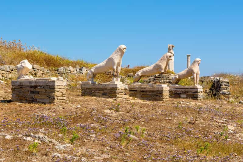 Paros: Cruise to Mykonos and Delos - Visit Ancient Delos
