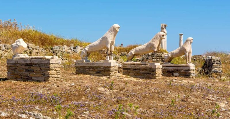 Paros: Cruise to Mykonos and Delos - Included Services