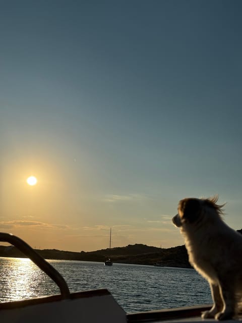Paros: Highlights Tour With Fishing & Tasting in Naoussa - Culinary Experience