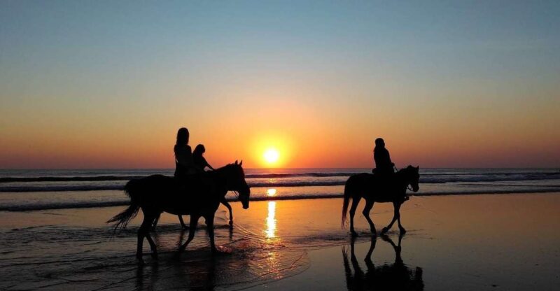 Paros: Island Horseback Riding Adventure - Ride Options