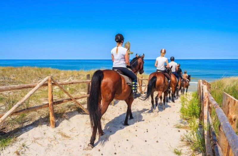 Paros: Island Horseback Riding Adventure - Paros Natural Beauty