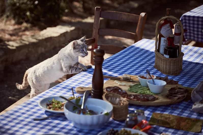 Paros: Rosemary - Farm to Table Dining Experience - Key Points