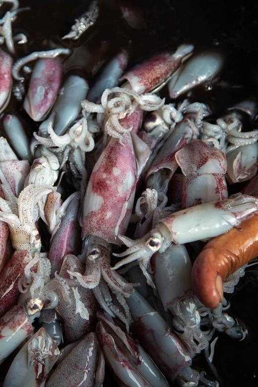 Paros: Rosemary - Farm to Table Dining Experience - Gourmet Feast and Local Flavors