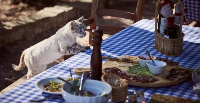 Paros: Rosemary - Farm to Table Dining Experience - Cycladic Desserts and Cheeses