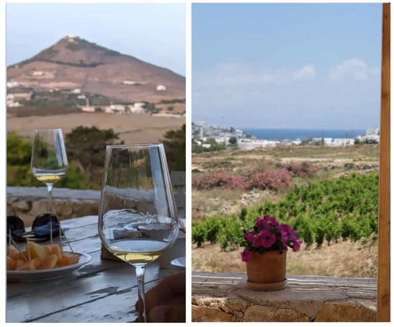 Paros : Wine Tasting - Natural Wine - Booking Process