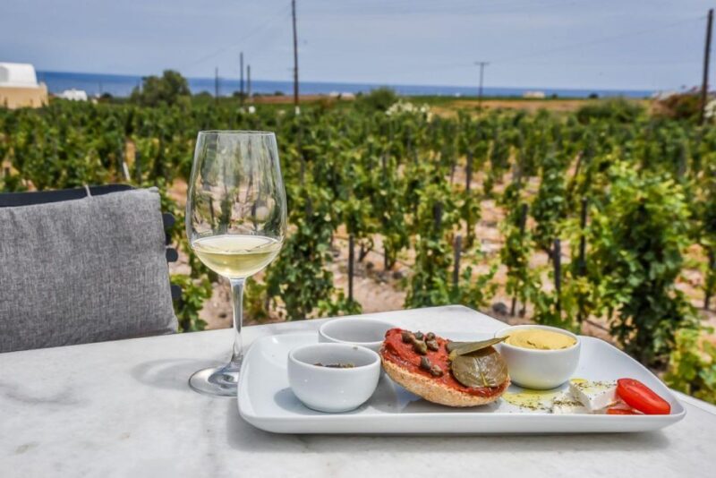 Paros Wine Tour and Tasting - Winery Visit 2