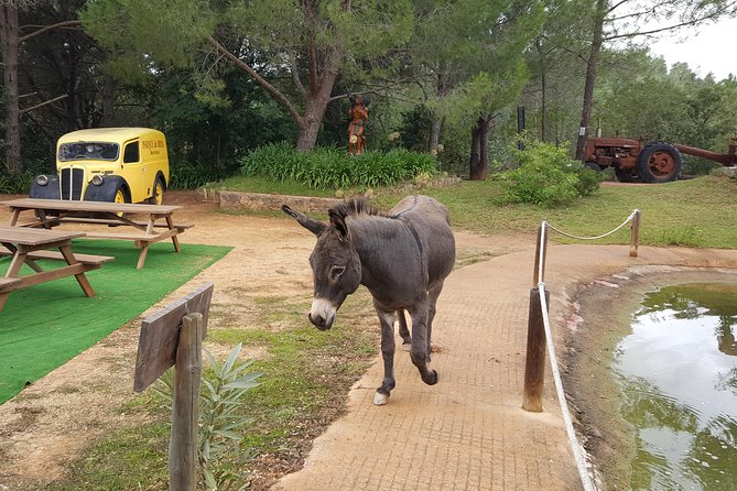 Parque Da Mina Entrance Ticket - Park Overview and Facilities