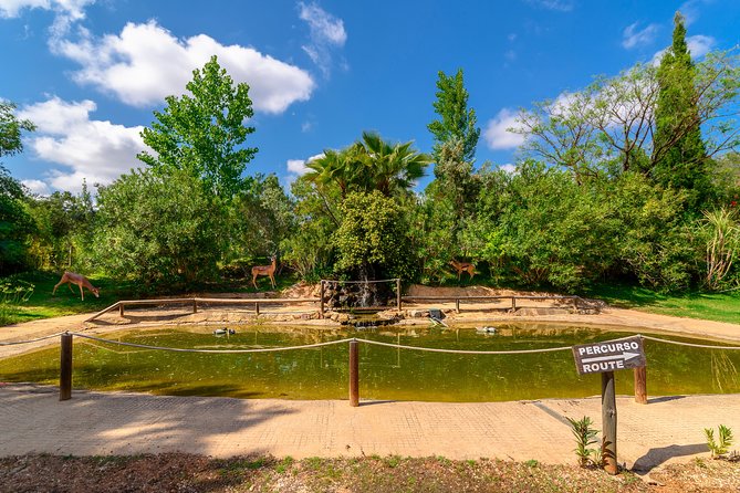 Parque Da Mina Entrance Ticket - Highlights and Unique Features