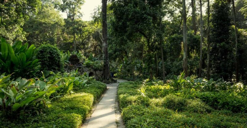 Parque Lage: Historic Mansion and Stunning Gardens in Rio - Key Points
