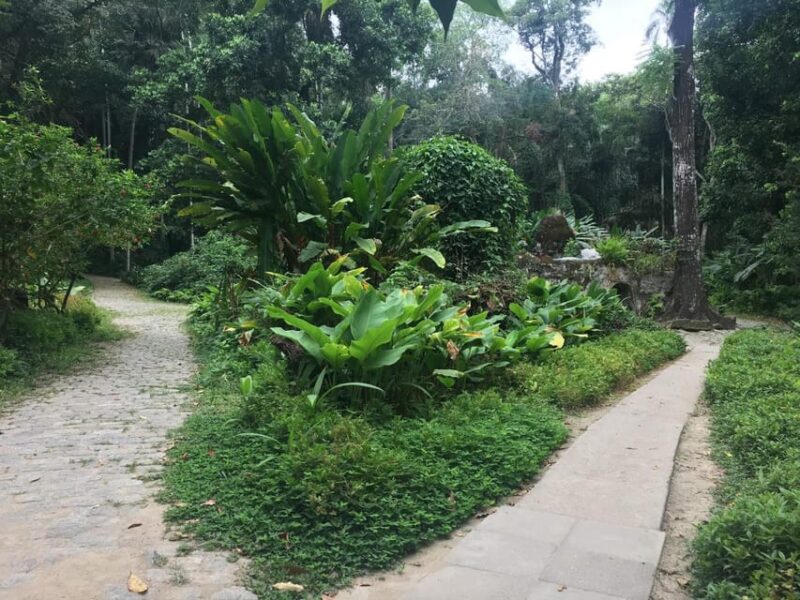 Parque Lage: Historic Mansion and Stunning Gardens in Rio - Expansive and Artistic Gardens