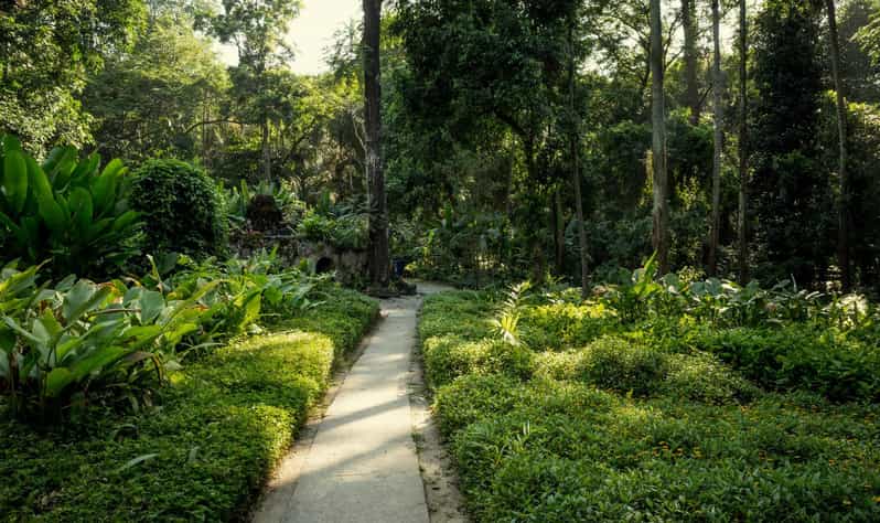 Parque Lage: Historic Mansion and Stunning Gardens in Rio - Observing Wildlife in the Park