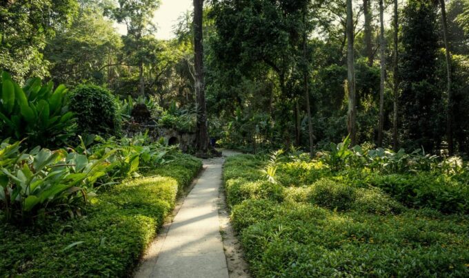 Parque Lage: Historic Mansion and Stunning Gardens in Rio - Parque Lages Unique Features