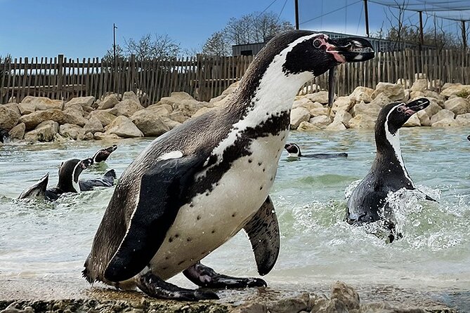 Parrot World Immersive Wildlife Park Entry Ticket Next to Paris - Interact With 80 Species