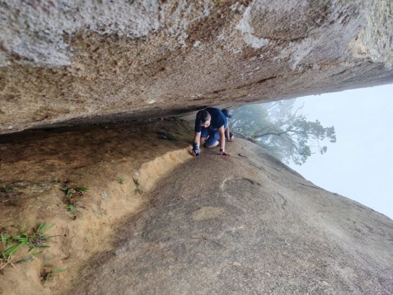 Parrot's Beak: Fun Hike in Tijuca's Forest - Hiking Through Tijuca Forest