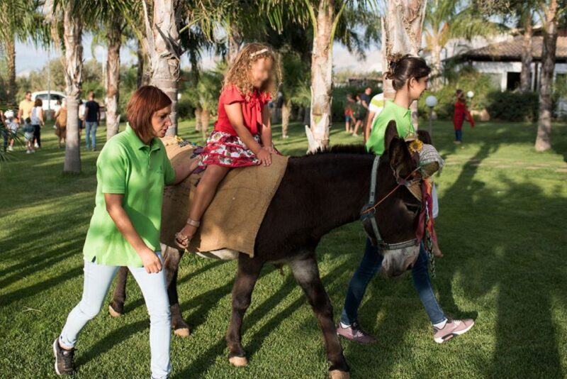 Partinico: Farms Animals and Aromatic Garden Experience - Overview of the Experience