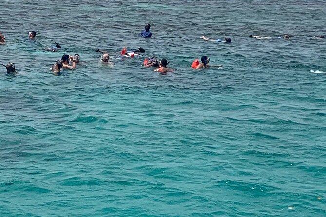 Party Boat and Blue Hole Combo From Ochi Rios - Physical Requirements and Accessibility